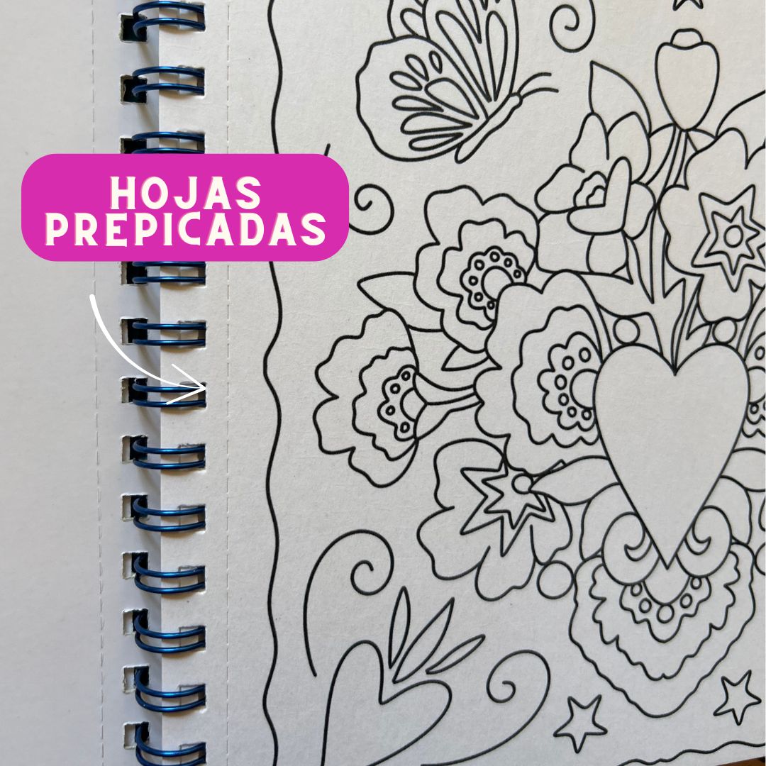 LIBRO LUPITA
