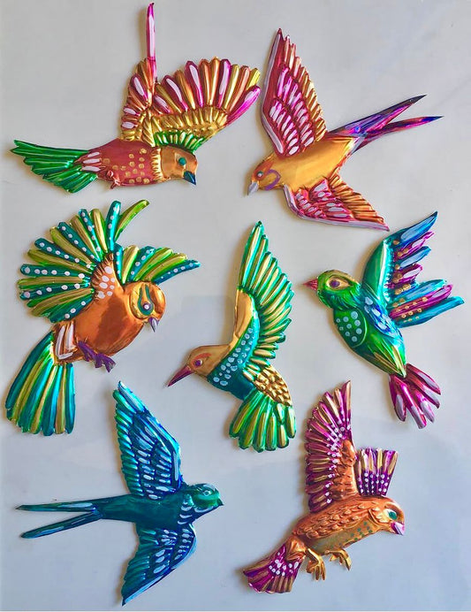 Pájaros (1 sesión)